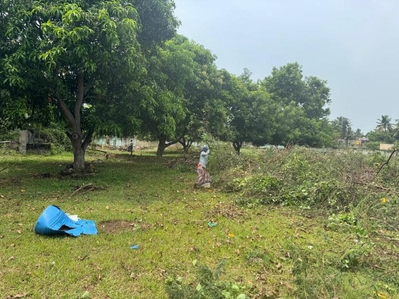 Cleaning of Thiruninravur Site
