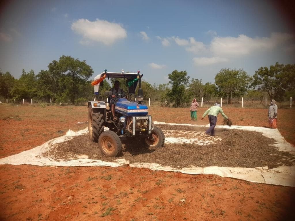 CSI Thandurai Pastorate – Land Restoration and Planning for Bamboo Cultivation